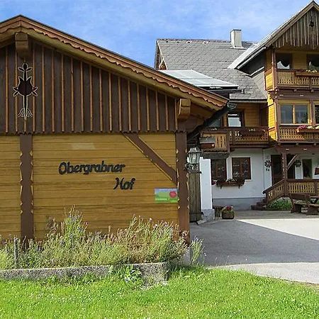 Lejlighed Obergrabnerhof Ramsau am Dachstein